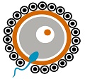 GFC IVF